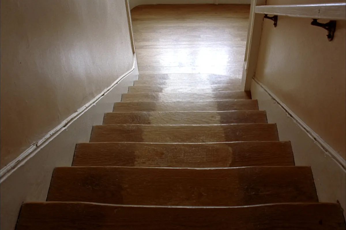 Wooden stair treads worn pale down the middle where feet land, darker at the edges